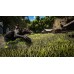 ARK Ultimate Survivor Edition (PS4, русские субтитры), ,